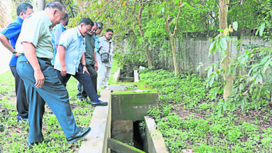 Photo of 道菲：降雨量創新高 雙溪芽篤KTM站水災屬個案