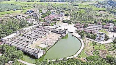 Photo of 沖虛觀   鶴湖圍 惠州2建築列重點保護