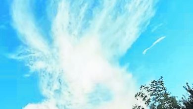 Photo of 【好野人在烏布】仙气飄飄罩大理