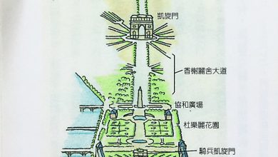 Photo of 【這裡那裡】黎晃遊貓