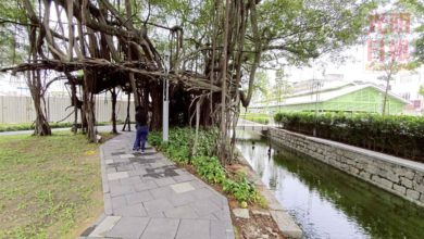 Photo of 工程近尾聲 未正式開幕 民眾搶先 社尾公園 打卡