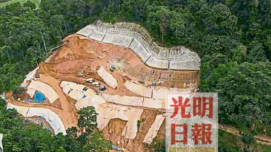 Photo of 白雲山山坡過度開發  SAM促政府關注