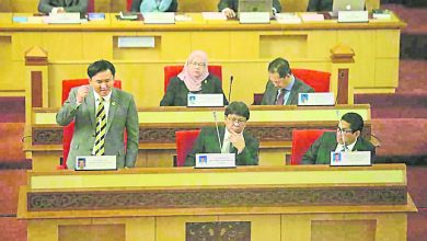 Photo of 【霹州議會】楊祖強:解決遊蕩問題 牧養動物或植晶片