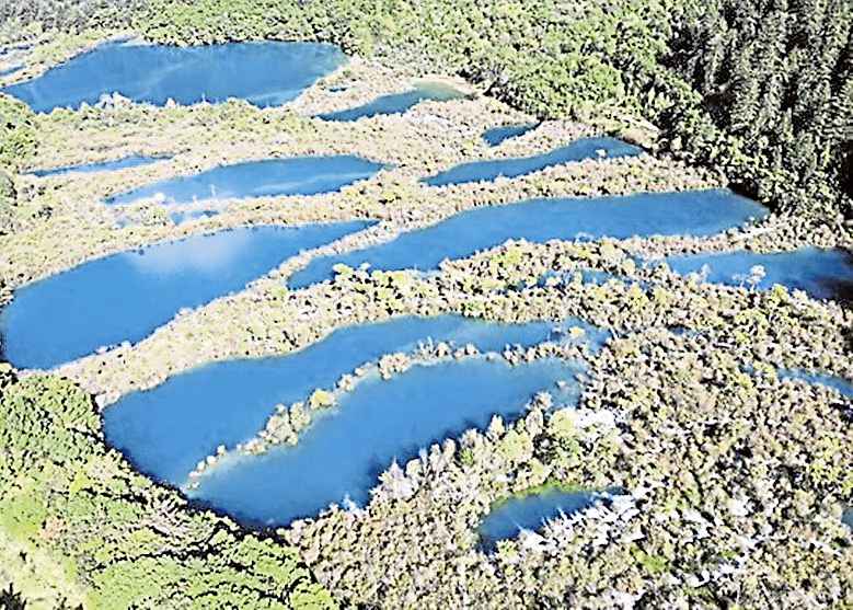 pin20191129061341024-1129_00952_001_01b