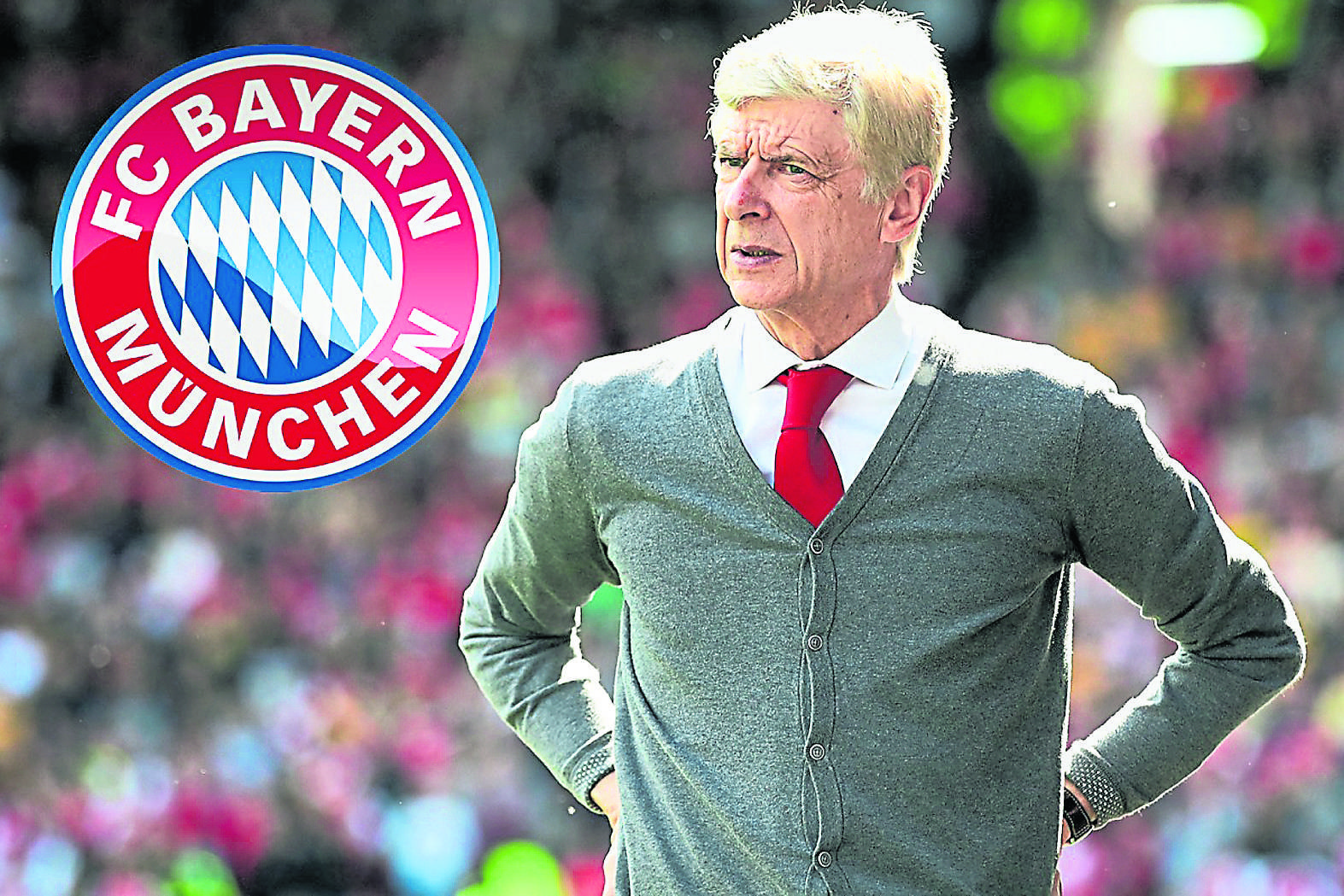 wengerbayern
