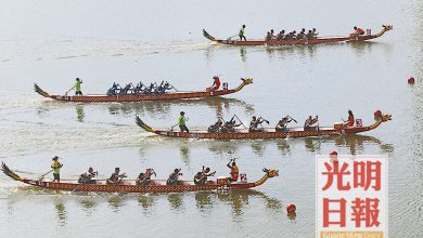 Photo of 【2019檳城國際龍舟賽嘉年華】國內外龍舟手划動船槳 62支隊伍爭奪榮譽