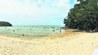 Photo of 森漁業局建議州政府 藍湖灣列海洋公園