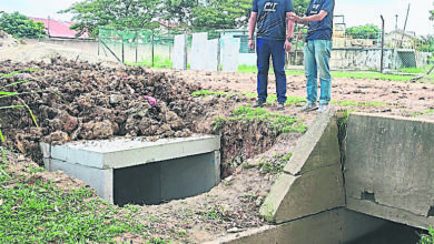 Photo of 紓緩佳迪花園閃電水災 9萬建63米排水系統