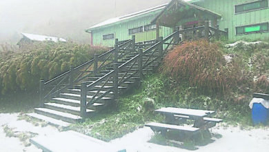 Photo of 寒流來襲 台雪霸公園迎首場大雪