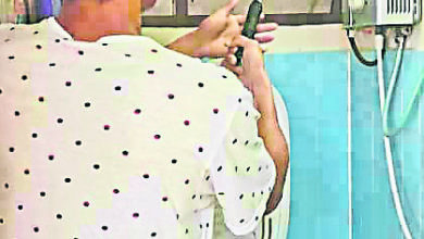 Photo of 踡伏玻璃窗 蟒蛇“偷窺”婦女出浴