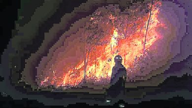 Photo of 大火吞噬8英畝樹林 消拯員花兩小時撲滅