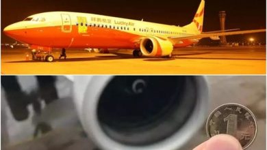 Photo of 害客機緊急停飛 華漢硬幣擲引擎賠7萬