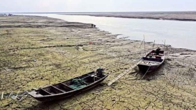 Photo of 現10年來最長極枯水期 鄱陽湖水位跌破8米