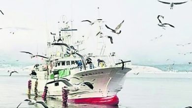 Photo of 涉違規加工鰈魚 北海道漁船被俄方帶走