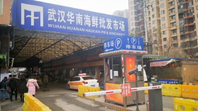 Photo of 中國專家:傳播原理未明 武漢肺炎屬新型冠狀病毒