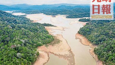 Photo of 慕達水壩蓄水量剩7.44% 檳供水機構促造雨