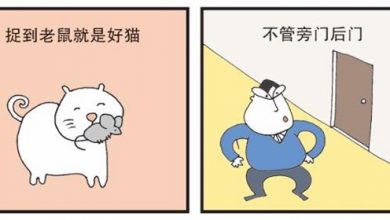 Photo of 【漫畫】王道