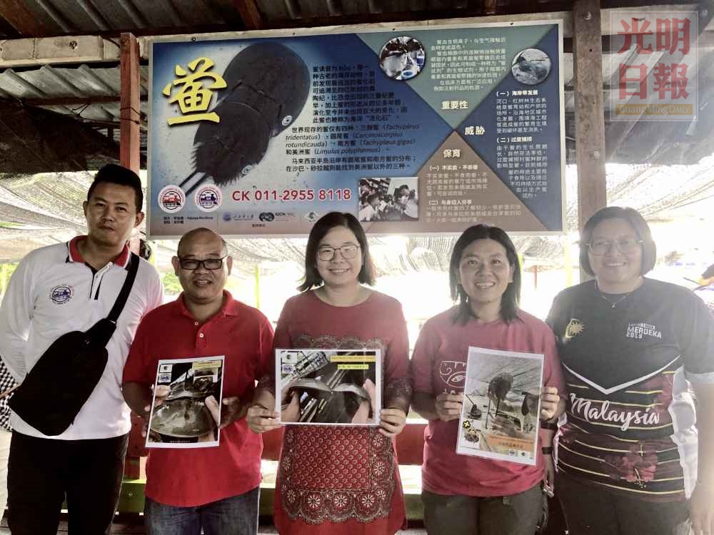 PTP0196MPAT-5200203-10050