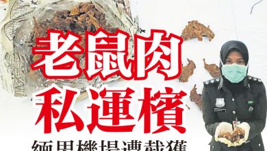 Photo of 老鼠肉私運檳   緬男機場遭截獲