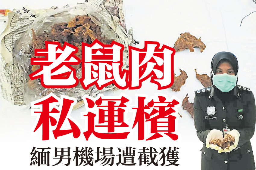 ddkadkadak