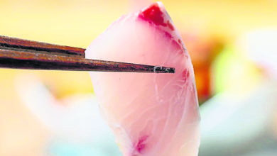 Photo of 【招牌菜】刺身吃的是 四季風土味道