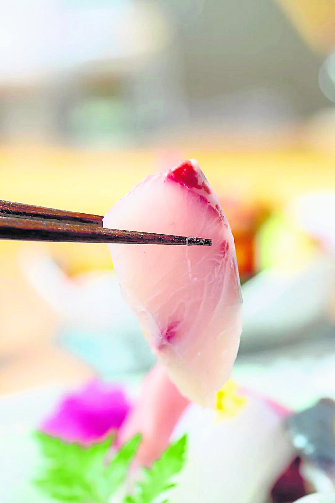 sashimi20200216_32