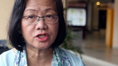 Photo of 瑪麗亞陳:除了民主程序 任何手段贏政權皆違民意