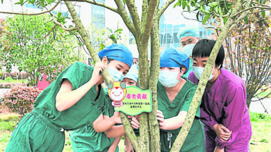 Photo of 21支援武漢醫療隊共植感恩林