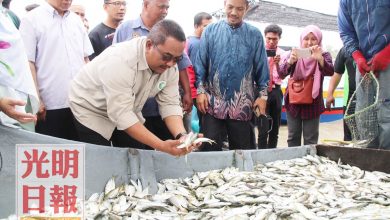Photo of 漁業局：保存過量鮮魚 增設冷凍儲藏室