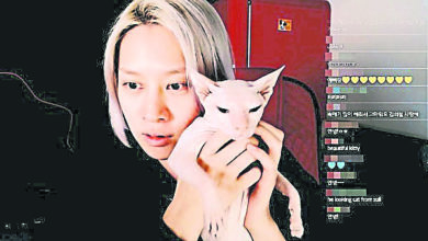 Photo of 收養雪莉貓咪 金宣雅感謝希澈
