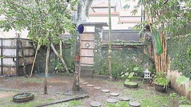 Photo of 【好野人在烏布】做個傻子 找回自己的金子