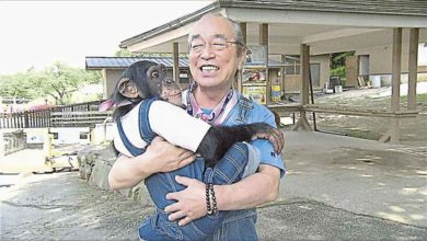 Photo of 日本“喜劇之王” 70歲志村健急救多日病逝