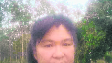 Photo of 萬樂鎮馬華婦女組主席 逾2公噸油棕果被偷
