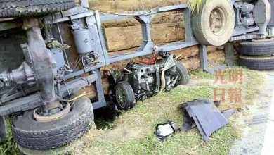 Photo of 羅里與轎車碰撞翻覆 樹桐傾倒壓死女司機