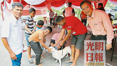 Photo of 廖泰義吁養主 主動帶家犬接種疫苗