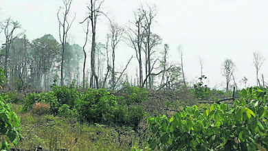 Photo of 瓜拉冷岳森林保留地大火 消拯局13場人造雨撲滅