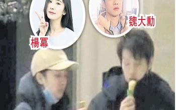 Photo of 楊冪酒店密會魏大勳 粉絲團秒刪惹官宣論