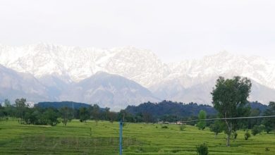 Photo of 印度封城空氣變好 30年首見喜馬拉雅雪峰