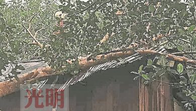 Photo of 暴風雨襲吉北3縣 逾87房屋受災