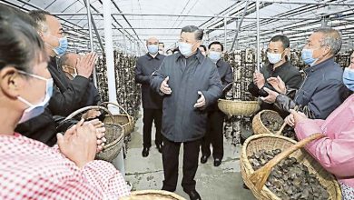 Photo of 習近平陜西考察 強調今年完成脫貧