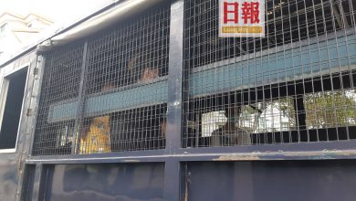 Photo of 跨區採購打包食物 3男女被捕