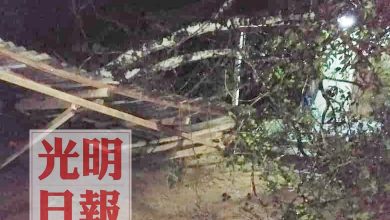 Photo of 暴風雨襲錫甘榜  數戶遭掀頂大樹倒壓