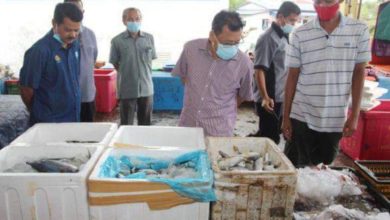 Photo of 解決滯銷蔬菜 農銷局買下派需要者