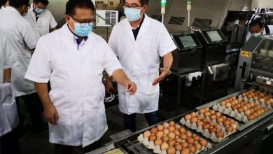 Photo of 貿消部長：價格合理  雞蛋供應充足