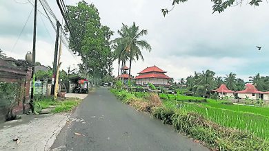 Photo of 【好野人在烏布】因疫得福