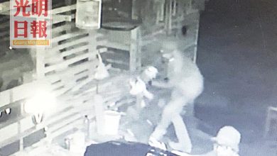 Photo of 8隻塞1車 3偷羊賊被捕
