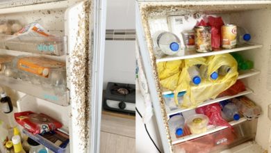 Photo of 放寬管制回到租屋 冰箱都長蛆了