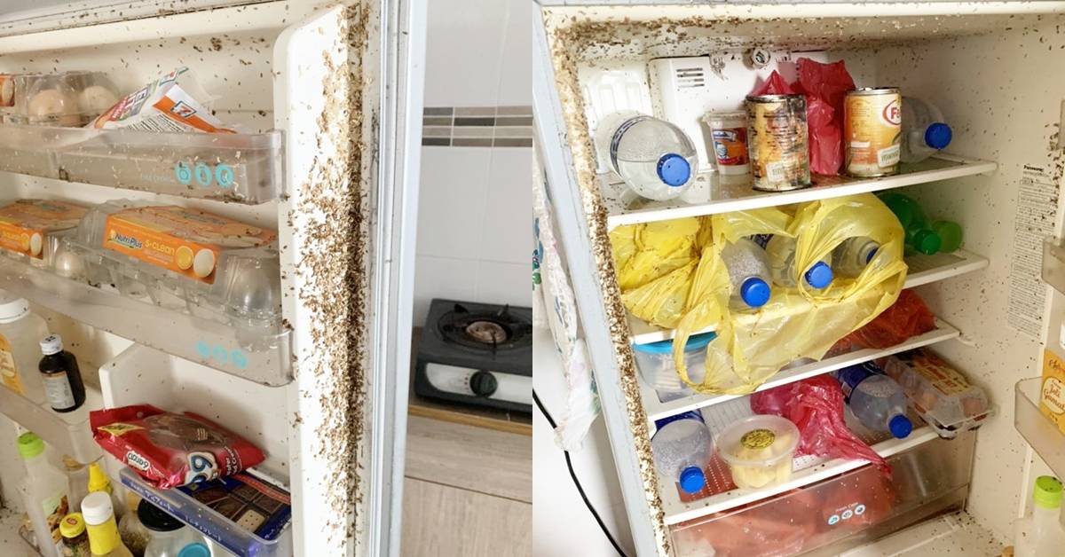 FRIDGE