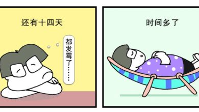Photo of 【漫畫】14天