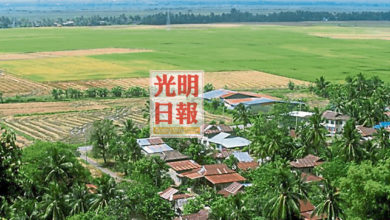 Photo of 民眾居家衛生意識鬆懈 吉象嶼山10天爆11宗蚊症